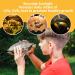 Caldarax 2 Pack Reptile Heating Bulb E27 Dimmable UVA UVB Bulb Tortoise 25W Turtle Basking Bulb for Reptiles and Amphibians Heat Lamp Bulb for Tortoise Bearded Dragon Lizard Snake - Buy Online on SooperMarket.com
