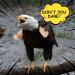 FUAMEY Muscle Chicken Arms Toys for Chickens to Wear  Funny Costume Fist Fighting Arms Toy for Pet Prank Themed Party  Artificial Arms Decorations Costume Cosplay for Chickens Rooster Hens Upgraded version - Buy Online on SooperMarket.com