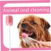 Mouth Swabs For End Of Life Care Mouth Swabs 100Pcs Dog Teeth Cleaning Kit Disposable Mouth Swabs Cavity Cleaning Sponge Swab For Elderly Kids Pet Teeth Care - Buy Online on SooperMarket.com