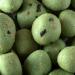 Bremer Gew rzhandel Wasabi Peanuts 150g - Crunchy & Spicy Snack | International Shipping - Buy Online on SooperMarket.com