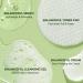 Torriden BALANCEFUL Cica Trial Kit | Vegan Gotu Kola Skincare 4-Step Regimen | Hypoallergenic Korean Skincare for All Skin Types - Buy Online on SooperMarket.com