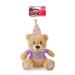 Rosewood Chubblez Bonnie Birthday Bear Plush Dog Toy Gift for Dogs