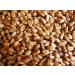 Certified USA Hard Red Wheatgrass Seeds by PowerGrow - 5 Pounds - Buy Online on SooperMarket.com
