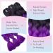 Buy Tess Braids Extensions Ombre 60 cm - 3 Pack Jumbo Kanekalon Hair Braids for Box Braids - #19 Purple/Black Ombre 100g Bundle - Buy Online on SooperMarket.com