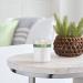 Mrs. Meyer's Iowa Pine Scented Soy Aromatherapy Candle - 35 Hour Burn Time, Essential Oils - 7.2 oz - Buy Online on SooperMarket.com