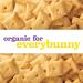 Annie's Organic White Cheddar Squares 7.5 oz - Baked Snack Crackers - Buy Online on SooperMarket.com