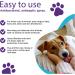 RenaSan Animal First Aid Spray (100ml) - Veterinary-Grade Skin Protection for Dogs, Cats & More - Fights Infection, Kills Bacteria, Stops Itching - Alcohol-Free & Non-Irritating - Buy Online on SooperMarket.com