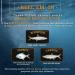DiscountFlies Bonefish & Permit Saltwater Fly Fishing Kit - 12 Realistic Flies with Fly Box | Strong Sharp Hooks - Bonefish Fly Fishing Flies Collection (12 Pack) - Buy Online on SooperMarket.com
