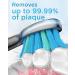 PHYLIAN Sonic Electric Toothbrush for Adults - 5 Modes - Fast Charge - Smart Timer - Black - Buy Online on SooperMarket.com