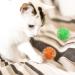 Cobee Large Cat Sparkle Ball Toys 12 Pieces 2 Inch Cat Pom poms Ball Furry Cat Toy Balls Kitten Pompom Ball Interactive Play Toy for Indoor Cat Kitten - Buy Online on SooperMarket.com