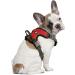 Littlearth NCAA Georgia Bulldogs Front Clip Pet Harness - Team Color - Large - Buy Online on SooperMarket.com