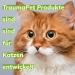 Traumapet 2x Ear Drops Colloidal Silver for Dogs & Cats - 2x 50ml Ear Cleaner Benefit Pack - Buy Online on SooperMarket.com