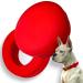 moosh Silicone Airtag Holder for Dogs and Cats | Perfect for Pet Trackers | Safe & Stylish Red
