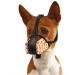 BONTHEE Dog Muzzle Soft Mesh Muzzles for Small Medium Large Sized Dogs Muzzle for Dogs to Prevent Biting Breathable Puppy Muzzle for Scavenging Grooming Biting Chewing and Licking Carrot M