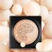 Lovelycat Mushroom Head Air Cushion BB Cream Even Skin Tone Makeup Base PrimerConcealer Lasting Nude Makeup Moisturizing Brightening Pigment CC Liquid Foundation (A-lvory) - Buy Online on SooperMarket.com