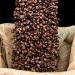 Moreish Coffee Roasters Strong Shit! Coffee Bags - Dark Roasted Blend (50 Count) - Buy Online on SooperMarket.com