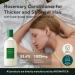 AROMATICA Rosemary Scalp Scaling Shampoo & Conditioner Gift Set - 400ml | Vegan Hair Care with Rosemary Oil for Dry, Itchy Scalp - Buy Online on SooperMarket.com