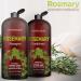 Mystere Beaute Rosemary Shampoo and Conditioner Set - Promotes Hair Growth & Scalp Health - Volumizing Formula - Sulfate & Paraben Free - 16 fl oz each - Buy Online on SooperMarket.com