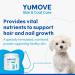 YuMOVE Skin & Coat Care Boost | Previously YuDERM Boost | Nutritional Supplement for Dogs Coat Skin and Nails | 180 scoops | Packaging may vary 91 g (Pack of 1) - Buy Online on SooperMarket.com