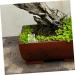 BESPORTBLE 2pcs Pet Water Feeder Ants Feeding Bowl Ants Nest Water Feeder Ants Water Feeding Plastic - Buy Online on SooperMarket.com