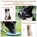 Breathable Basket Muzzle for Large Dogs | Adjustable Dog Muzzle for Barking & Biting Prevention (M: 31-35 cm) - Buy Online on SooperMarket.com