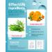 LitBear XL T-Zone Patch - 30 Patches, Hydrocolloid for Nose, Forehead, Chin, Pimple, with Tea Tree & Calendula Oil - Buy Online on SooperMarket.com