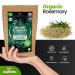 Huggiberries Organic Rosemary Leaves-Spice 3.5 OZ (100g) - Pure High Aromatic Flavor for Meat, Vegetables & Soup | USDA Approved, GMO & Gluten Free, Raw Vegan - Immunity Boosting & Wellness Support - Buy Online on SooperMarket.com