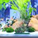 HEVEER Aquarium Air Stone - 20cm Bubble Diffuser (5 Pieces) with Suction Cups for Oxygen Pump in Fish Tanks - Buy Online on SooperMarket.com