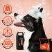 GROOM PROFESSIONAL Coat Revitalise Dog Conditioner 4L - Adds Shine and Body - For Dry & Dull Coat - Renewing Formula - Buy Online on SooperMarket.com