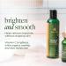 NEW LOOK Tree of Life Vitamin C Brightening Facial Cleanser - Gentle Vitamin E Tea Tree Oil & Rosehip Skin Care - Dermatologist-Tested 4 Fl Oz - International Shipping Available - Buy Online on SooperMarket.com