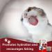 Cat Treats bundle contains Lick e Lix Chicken Salmon Beef Liver Cheese Cat Grass Licky Lix 6x5's Kitten Treat and Snacks Lick-e-Lix Total 30 sachets and our Catnip mouse toy - Buy Online on SooperMarket.com