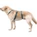 Kerbl 80045 Panic Harness Miami - Escape-Proof Design Petrol Color Adjustable 64-100cm | Shop Now for International Shipping - Buy Online on SooperMarket.com