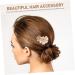 ABOOFAN 1 Pair Bridal Hair Accessories Wedding Hair Accessories Fairy Jewelry for Women Hair Comb Wedding Hair Combs for Wedding Hair Combs for Women Decorative Light Luxury Hairpin Bride - Buy Online on SooperMarket.com