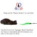 Pet Fit For Life Cat Toy - 5 Piece Worms Teaser and Exerciser for Interactive Play with Cat and Kitten - Buy Online on SooperMarket.com