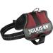 Shop K9 Powerharness 2XS/Baby 2 in Chestnut - Premium Dog Harness for Ultimate Comfort & Control | Fast International Shipping - Buy Online on SooperMarket.com