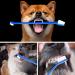 50-Pieces Double-Headed Dog/cat Pet Toothbrush - Easy Safe Dog Cat Dental Care Teeth Clean (Blue) - Buy Online on SooperMarket.com