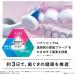 Panasonic EW-DP56 Doltz High Grade Bluetooth Electric Toothbrush (Silver) | 2022 Model | Japan Import - Buy Online on SooperMarket.com