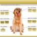 BESTBOMG 30# Replacement Knife for Dog Care - Compatible with Heiniger/Moser Max45/Andis/Easter A5 - 2 Pieces 1/50 (0.5 mm) Cutting Length - Gold Color 28#-G-2 - Buy Online on SooperMarket.com
