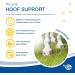 Nutrilabs Hoof Support Pellets 3 KG - Premium Dietary Supplement for Horse Hoof Care with Biotin & MSM | Enhance Equine Health - Buy Online on SooperMarket.com