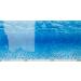 AMTRA MYSTIC - Aquarium poster background aquarium decoration decorative poster with double print format 60x150cm 60x150 cm - Buy Online on SooperMarket.com