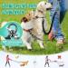 Buy NASJAC Double Dog Linen Coupler | Adjustable Reflective & Shock-Damping Shared Leash for 2 Dogs - Black & Gray - Buy Online on SooperMarket.com