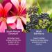 Nature's Way Sambucus Cold and Flu Relief Elderberry Gummies for Kids Used in Herbal Medicine to Help Relieve Symptoms (Cough Runny Nose and Sore Throat) in Children age 3+ 60 Gummies - Buy Online on SooperMarket.com