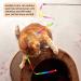 JJYPET Cat Wand Toys - Colorful Interactive Kittens Teaser Wand String for Indoor Cats - 3PCS - Buy Online on SooperMarket.com
