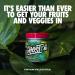 GHOST Greens Superfood Powder - 30 Servings - 19 Super Greens & Reds Fruits Vegetables Spirulina & Chlorella Prebiotics 10 Billion CFU Probiotic & Digestive Enzymes - Gluten-Free (Lime) - Buy Online on SooperMarket.com