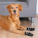 Trixie 19522 Anti-Slip Dog Socks S/M - Black 2 Pack | International Shipping Available - Buy Online on SooperMarket.com