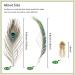 20 Pcs Real Natural Peacock Feathers Bulk Set - Multicolored DIY Craft & Wedding Decoration - Buy Online on SooperMarket.com