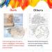Amphol DIY Paint by Number Kit | Acrylic Painting for Adults and Kids | Easy Oil Painting Set | 16 x 20 | Home Wall Decor Gift | Blue Door Design - Buy Online on SooperMarket.com