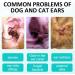 Dog Ear Cleaner Ear Infection Treatment for Dogs Cats Dog Ear Drops for Infection Antibiotics Effective Eliminates Ear Odour Dirt and Debris Pets Ultra-Otic Advanced Ear Cleaner Solution (50ml) - Buy Online on SooperMarket.com