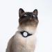Lucybalu Premium Airtag Katzenhalsband | Tear-Resistant Nylon Collar for Cats | Apple Airtag Compatible | Durable Cat Tracker | Anthracite Design - Buy Online on SooperMarket.com