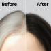 Daeng Gi Meo Ri Korean Herbal Hair Dye Cream Black - PPD-Free Gray Coverage & Hair Protection High-Keratin Formula - 5 Oz - Buy Online on SooperMarket.com